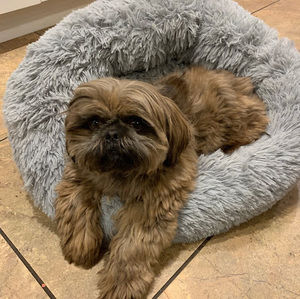 Meet your Posher, Sherry